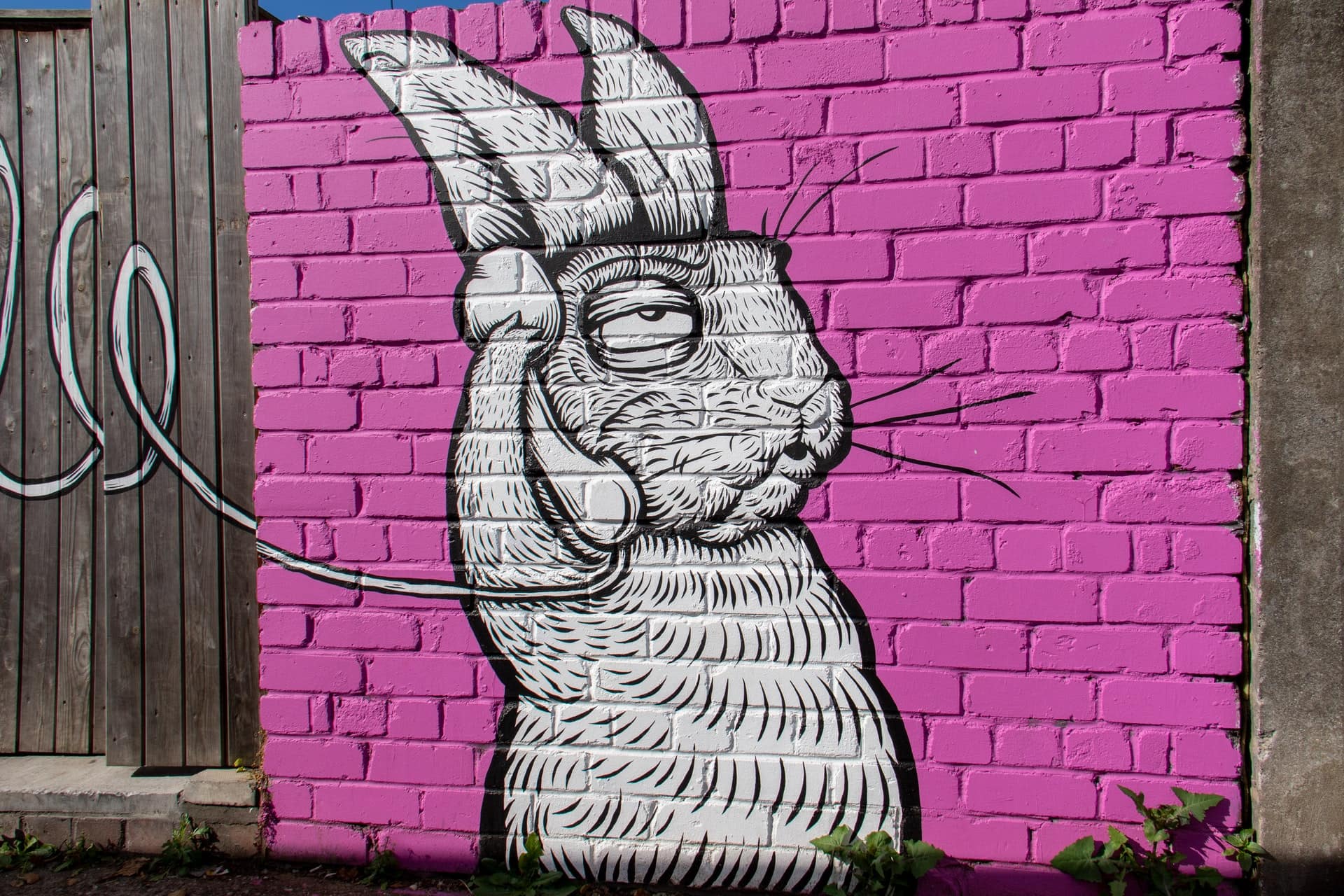 Rabbit holding cord telephone