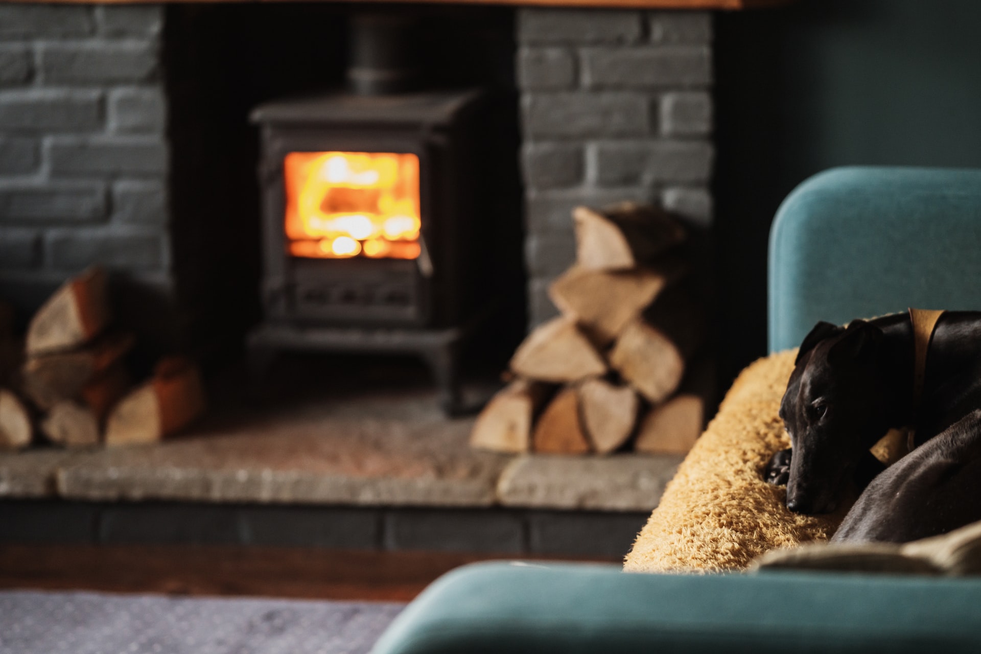 Fireplace with dog lying on sofa